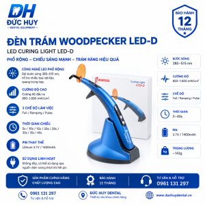 đèn trám led D woodpecker